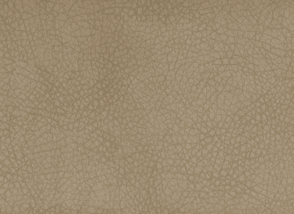 ARGENTINA 1153_beige